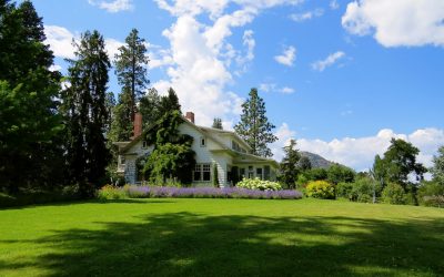 Taking Care of Your Lawn: Tips and Tricks