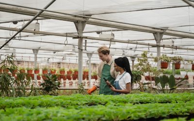 The Benefits of Owning a Greenhouse